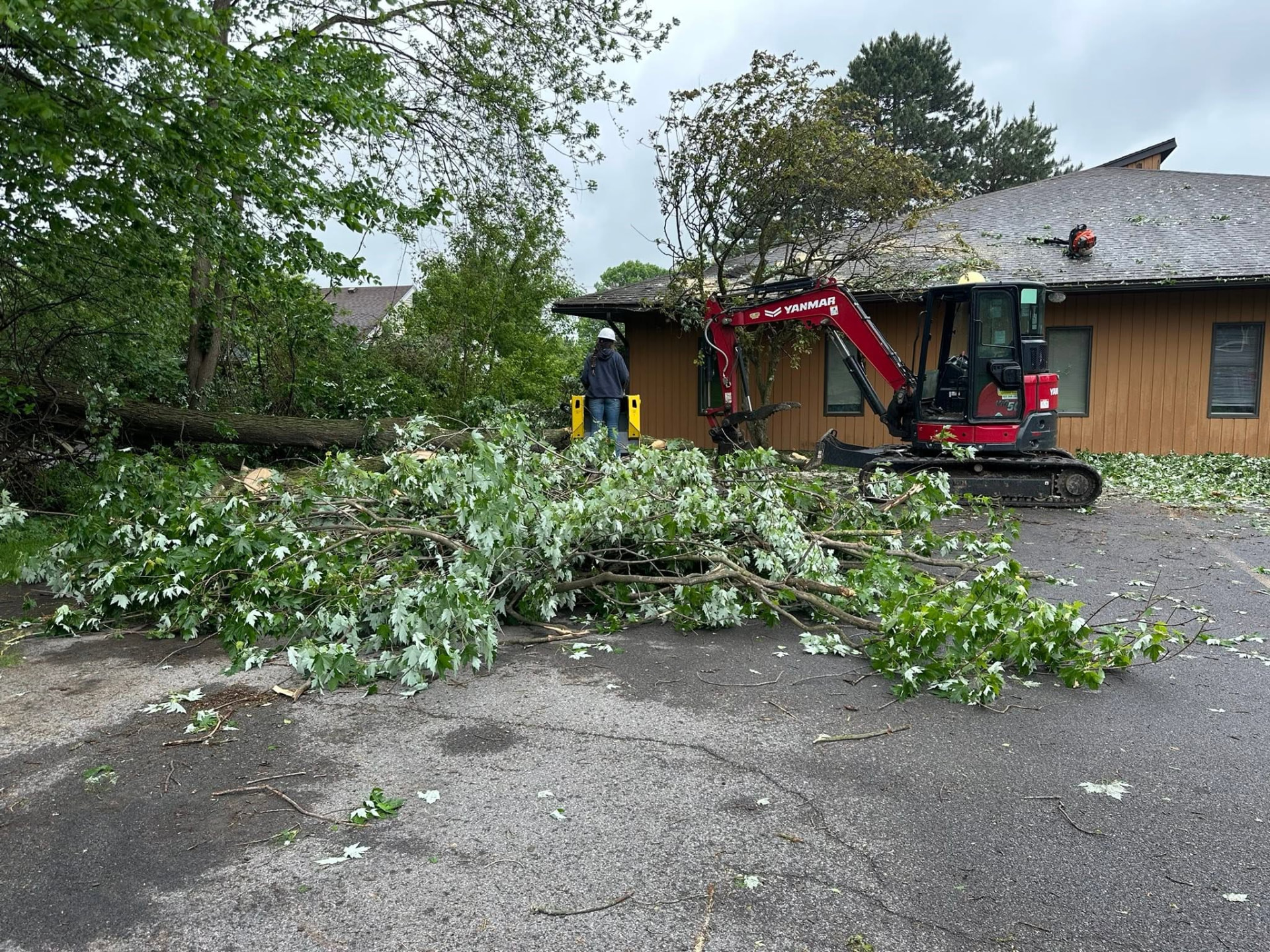 Storm-downed tree removal beside a commercial building